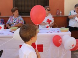 IMG_5852